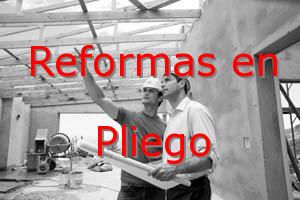 Reformas Cartagena Pliego